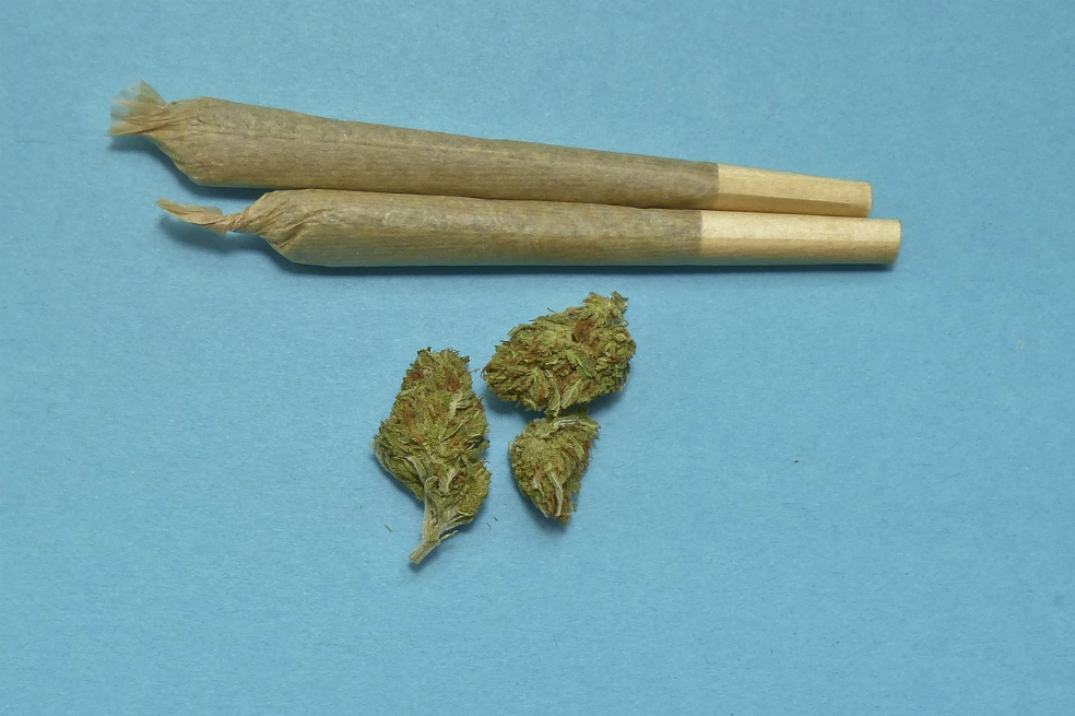 No, la OMS no ha desclasificado la marihuana como una droga