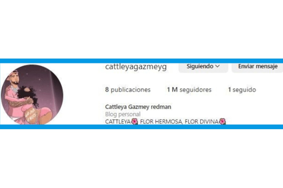 Luego que Anuel reconociera que la hija de la colombiana Melissa Vallecilla es suya, Yailin habría tomado drástica medida con Cattleya.
