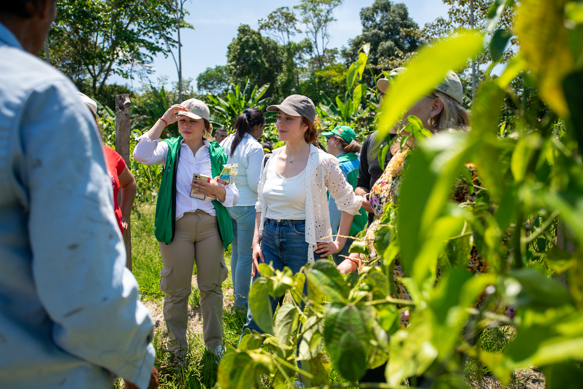 Sabores de Paz: el proyecto que busca exportar productos de sustitución de coca