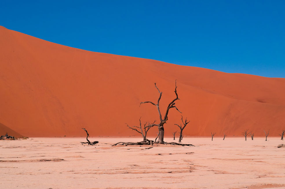 Si no se cumple el Acuerdo de París, el 25% de la tierra podría convertirse en desierto
