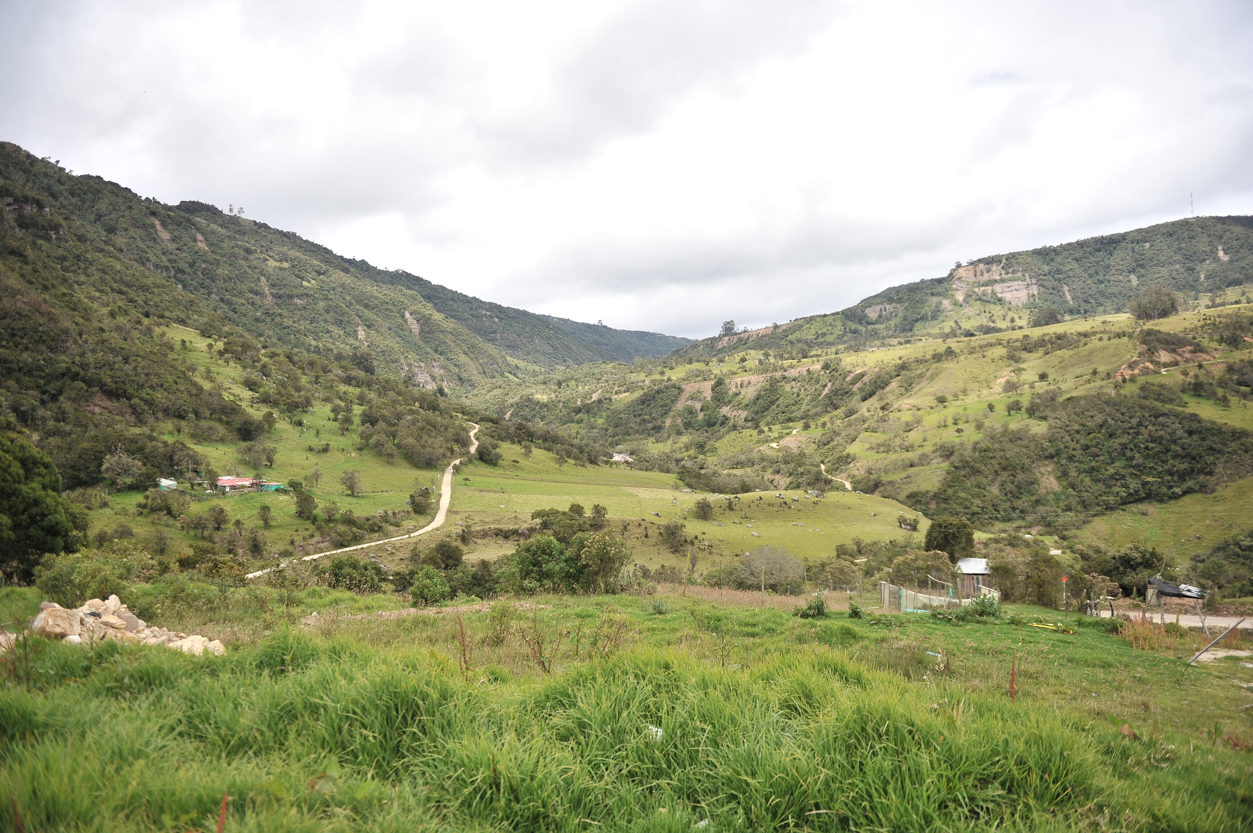 La historia de la violencia en Sumapaz, según Alfredo Molano Bravo
