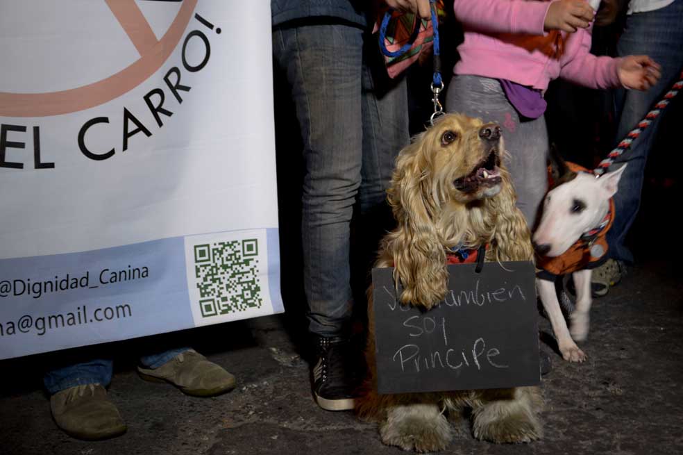 «Yo soy Príncipe»