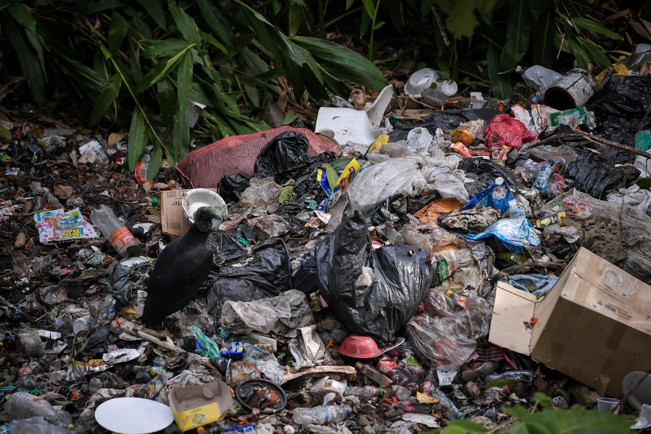 La basura en el río es una de las preocupaciones más grandes de las tres mujeres del Colectivo Ambiental de Rovira, quienes aseguran que el daño ecológico que se está generando en ese municipio va ser irreparable, pero no hay programas institucionales de recolección de basuras.