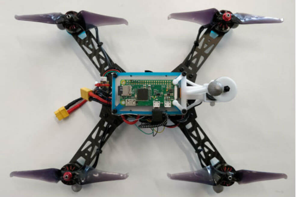 Científicos quieren crear robots con IA que imite a los cerebros de insectos