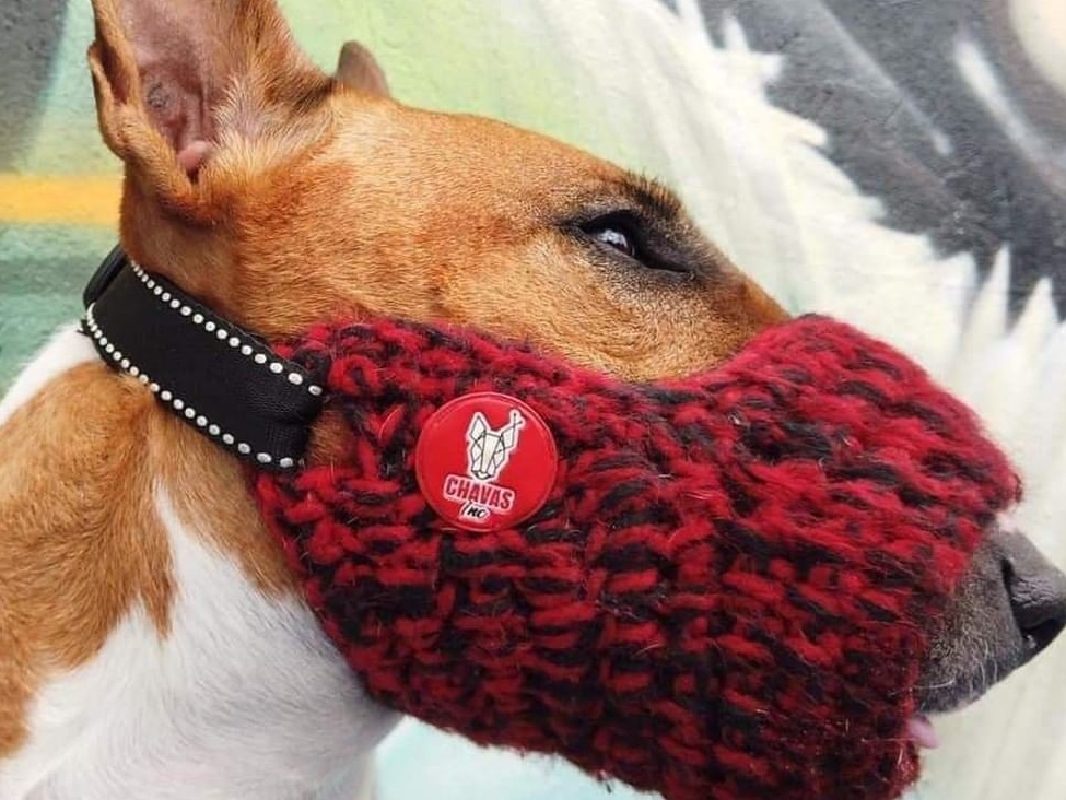 Estos bozales están especialmente diseñados para que su perro no sufra con materiales corrosivos y no tenga ninguna reacción alérgica.