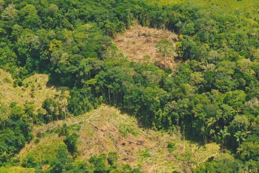 Denuncian falso positivo judicial en captura de campesinos en el Parque Nacional Chiribiquete