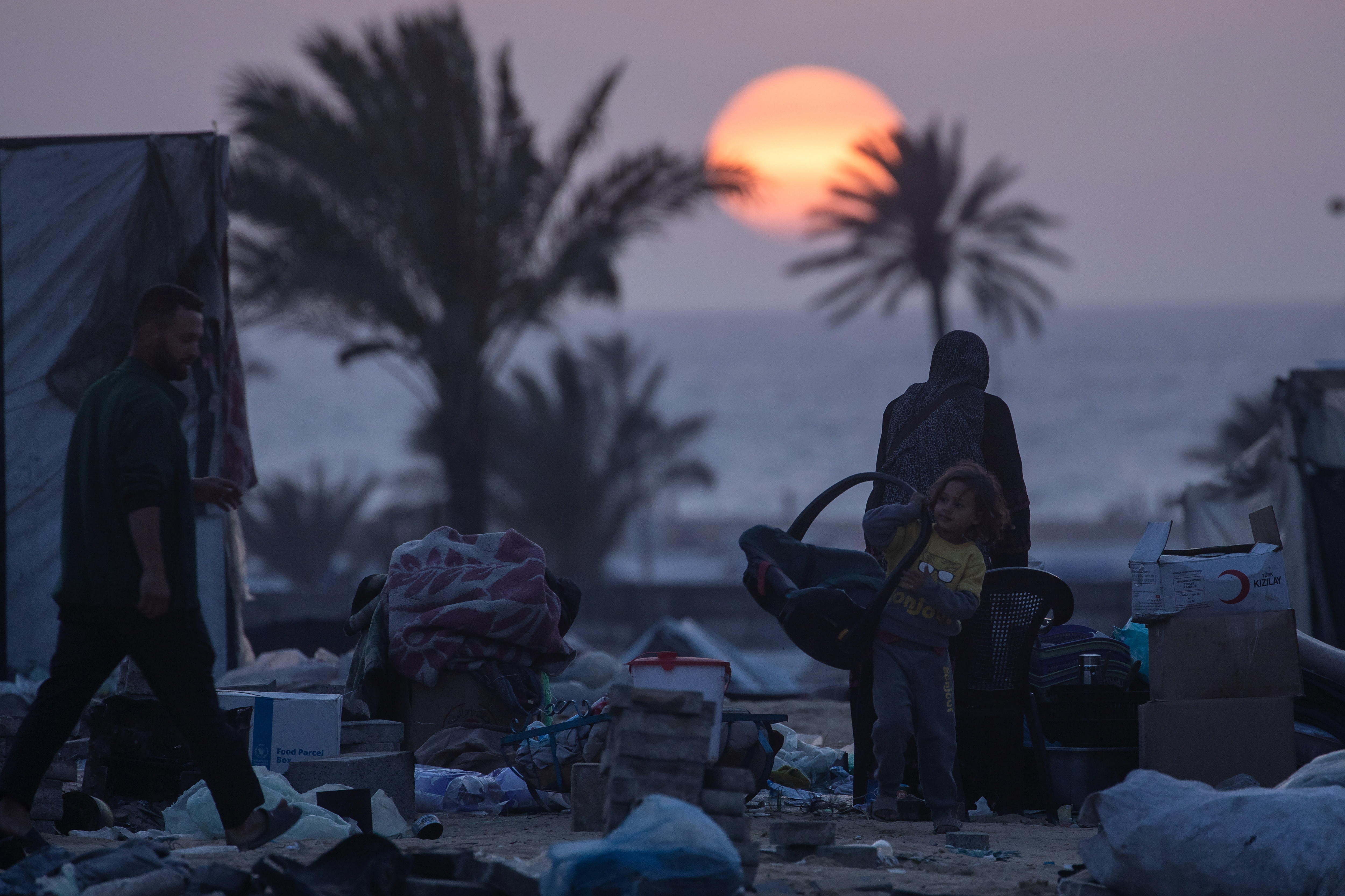 ¿Cómo se determina la existencia de un genocidio?: el caso de Israel en Gaza