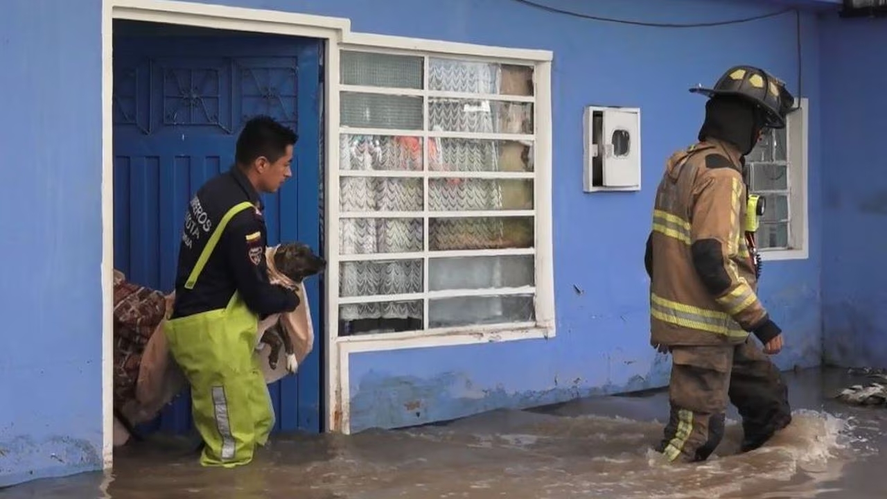 Ola invernal en Bogotá: rescatan a perrita que estaba atrapada al interior de una vivienda