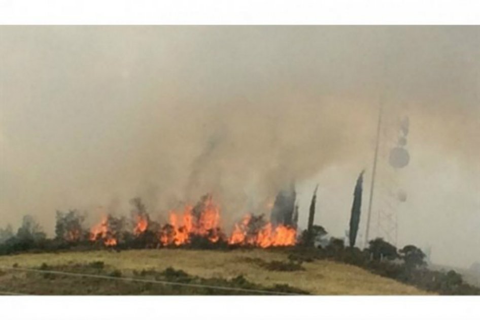 Autoridades controlan incendio forestal en Paipa, Boyacá