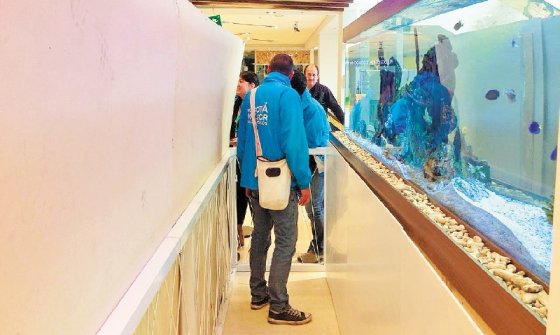 Peñalosa reconoce que Centro de Fauna no tenía capacidad para atender peces sacrificados