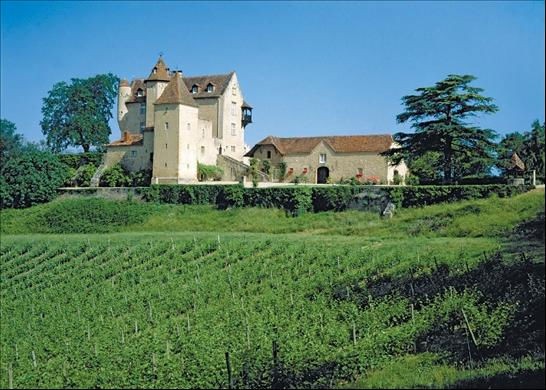 El futuro del castillo de D’Artagnan está en juego