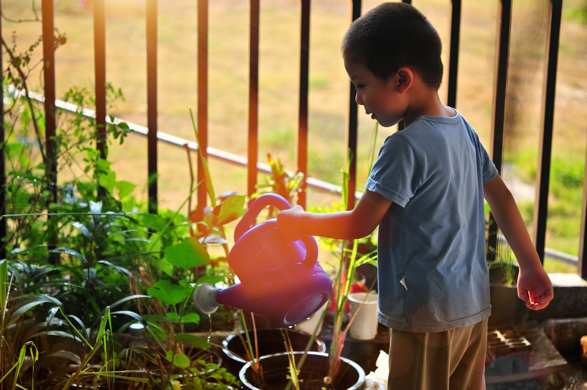 Foto que muestra a un niño regando unas plantas en un jardín exterior de una casa.