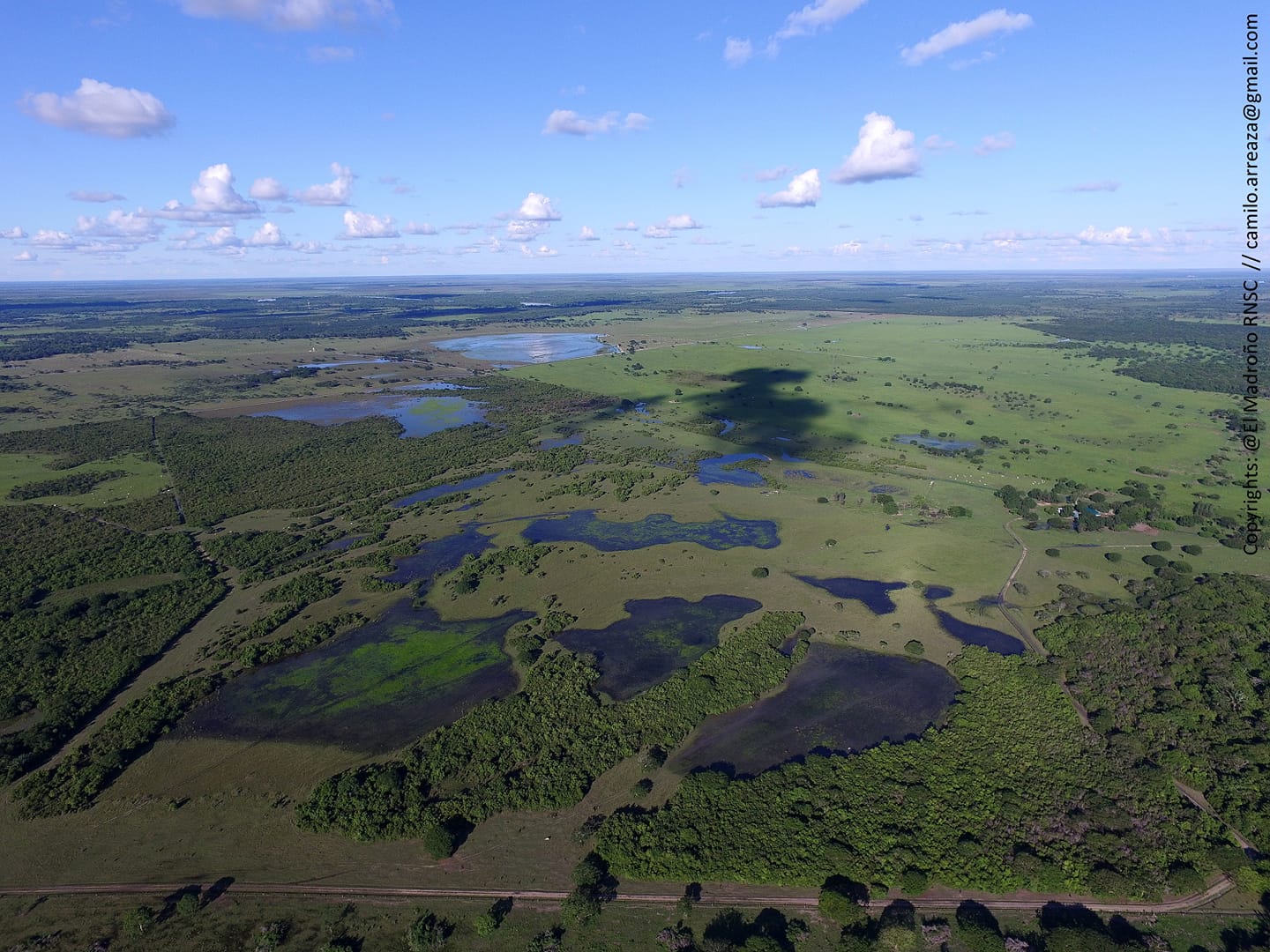 Colombia tendrá el primer Encuentro de Sabanas Naturales