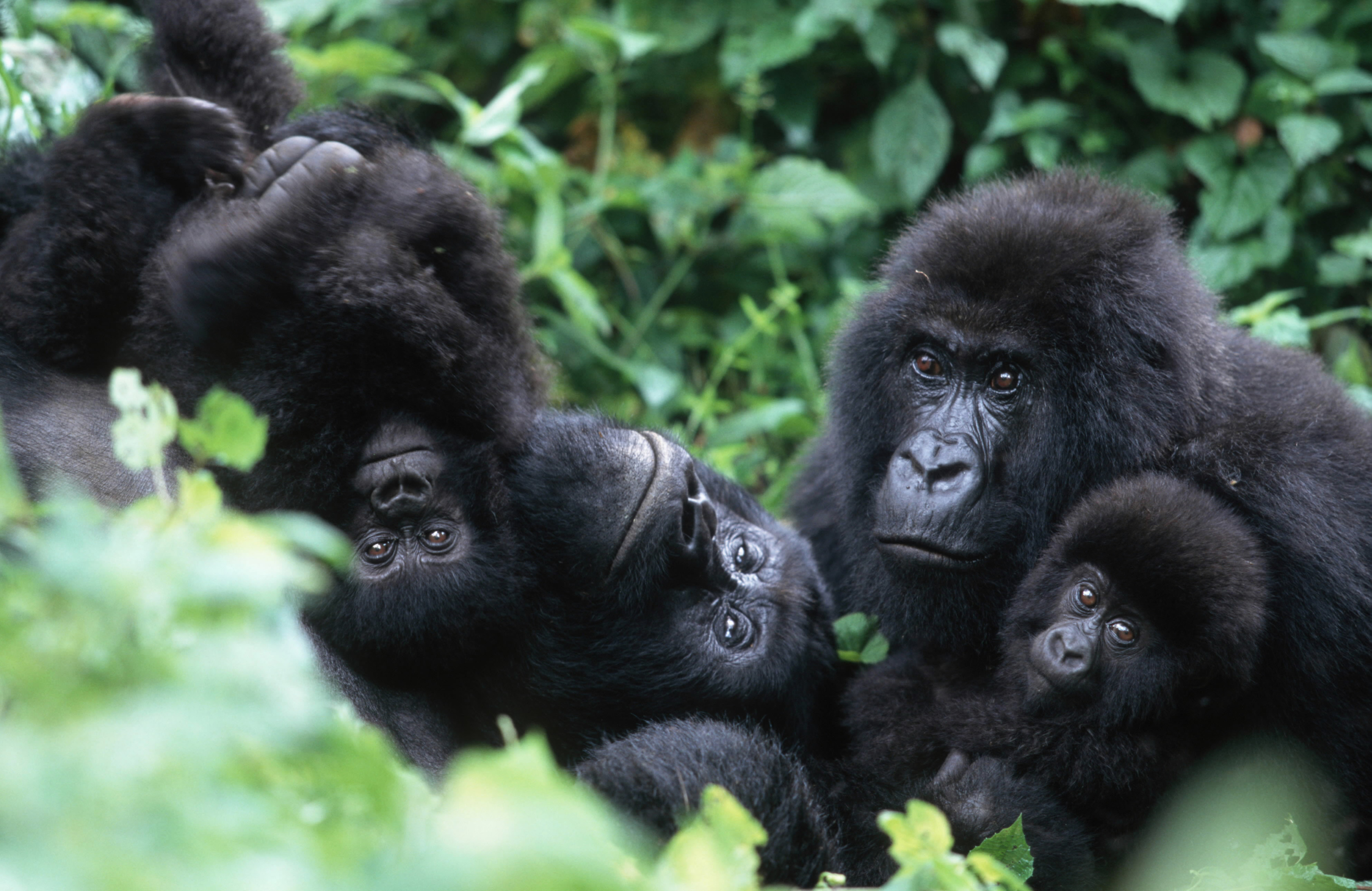 La Cumbre Mundial del Turismo se realizará por primera vez en África