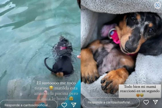 Viaje de Carolina Soto por poco termina mal: tuvo que salvar a una de sus ‘hijas’