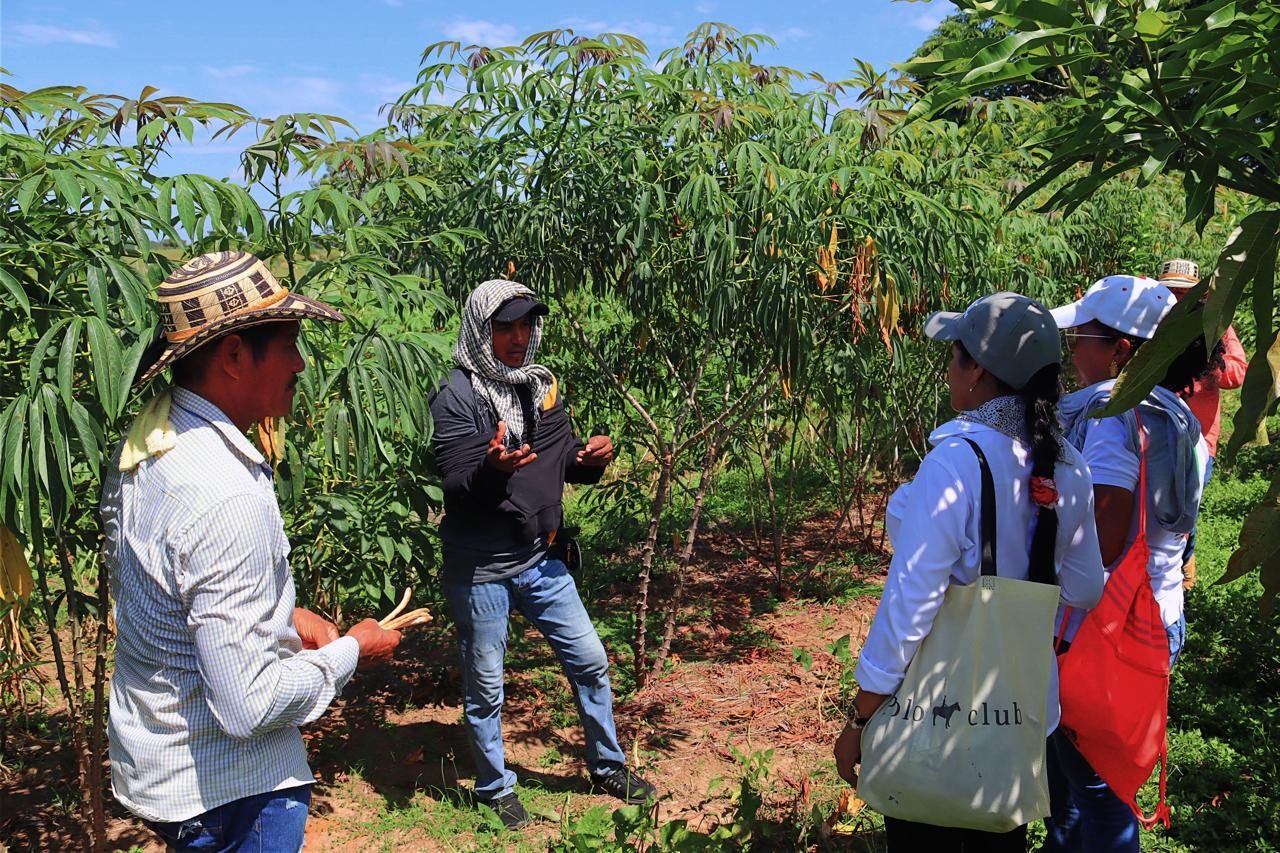 La experiencia incluye también degustaciones de productos como bebidas artesanales y preparaciones ancestrales que reflejan la identidad culinaria del municipio.