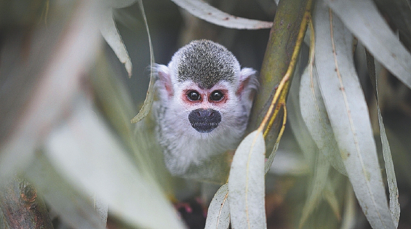 Centro recepción de fauna del Distrito8