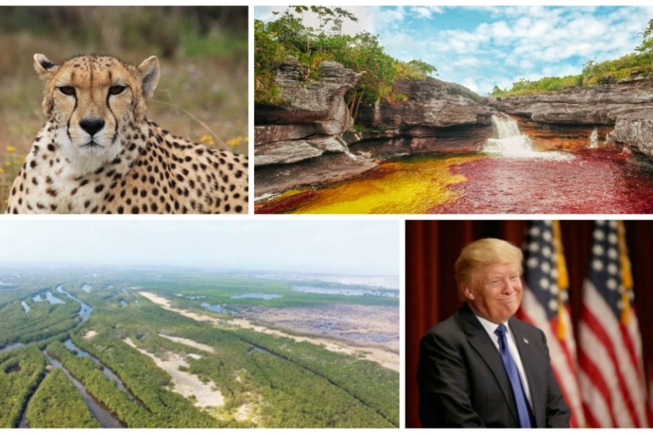 Diez de las historias ambientales más importantes de 2016