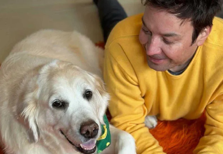 Así se despidió Jimmy Fallon de su querida perrita Gary tras 13 años juntos