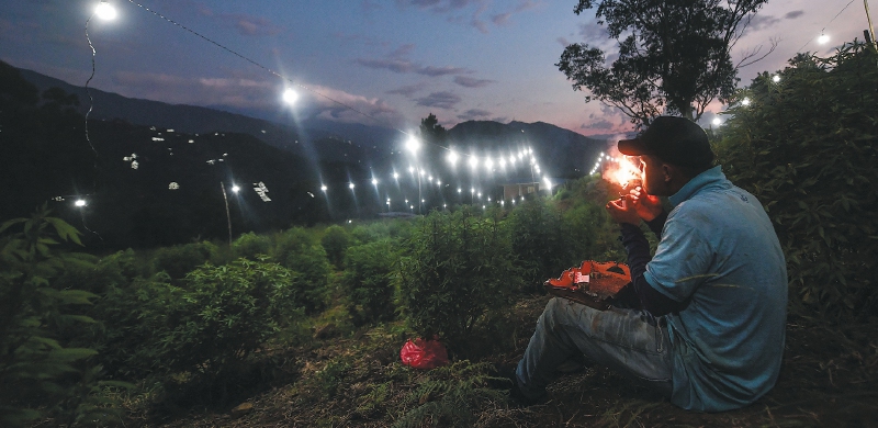 Sí, es momento de legalizar la marihuana