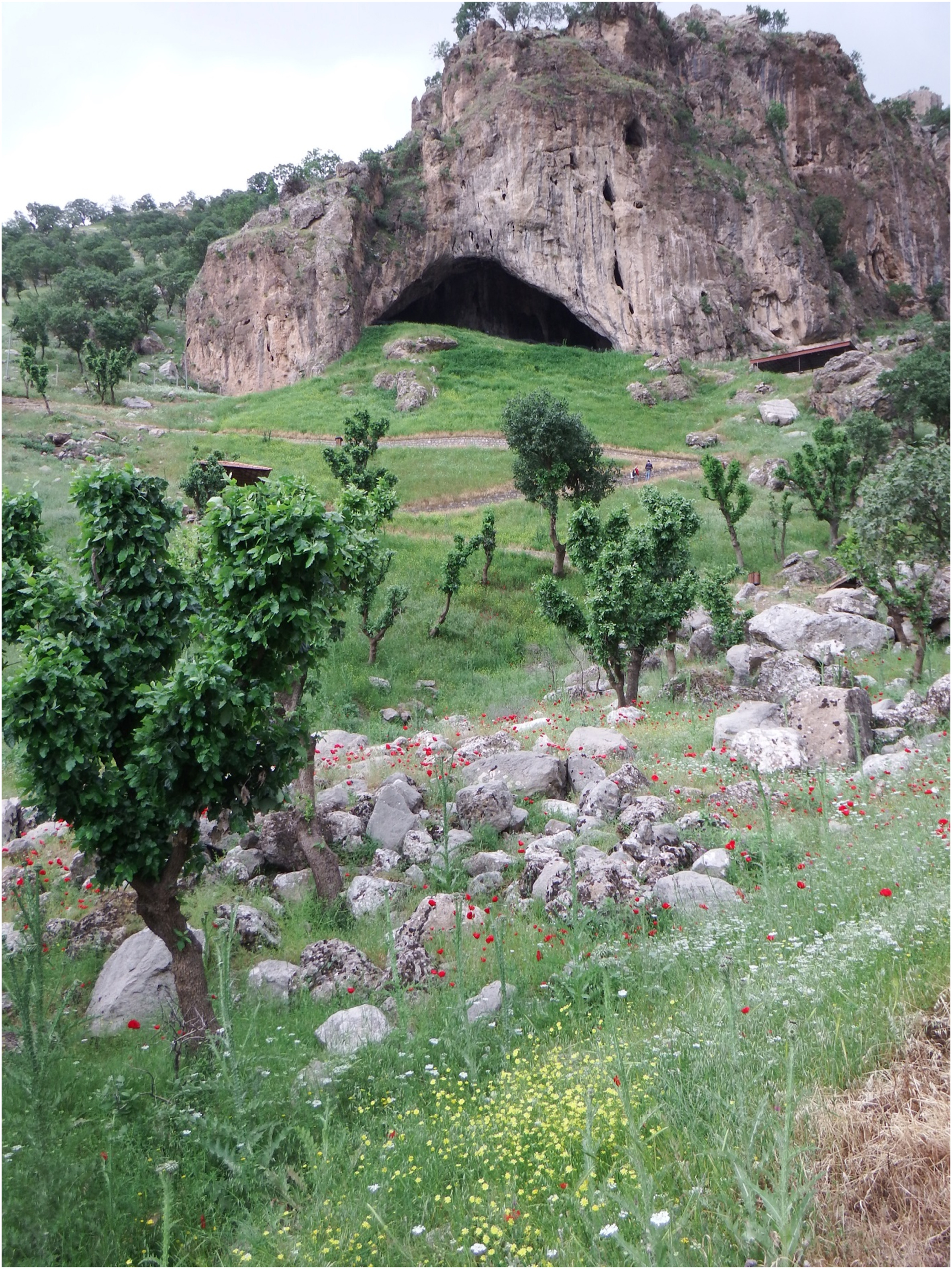 ¿Los neandertales enterraban a sus muertos con flores? Nueva evidencia derrumba esa idea