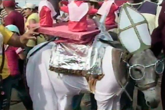 «Habemus burro» se escuchó en el festival de San Antero (Córdoba)