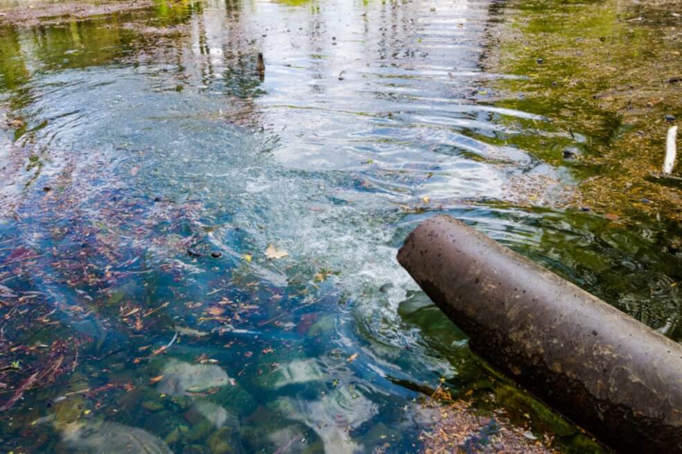 Logran descontaminar un acuífero utilizando bacterias