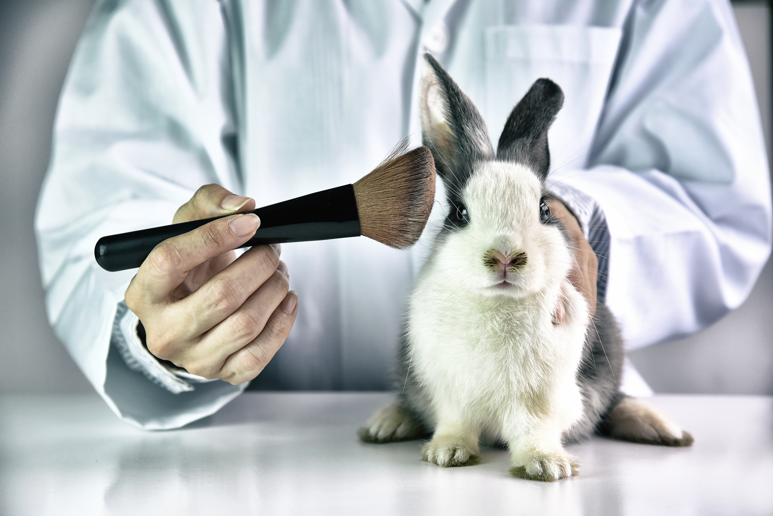 ¿Cómo se aprobó la histórica ley contra el testeo animal en Colombia y desde cuándo aplica?