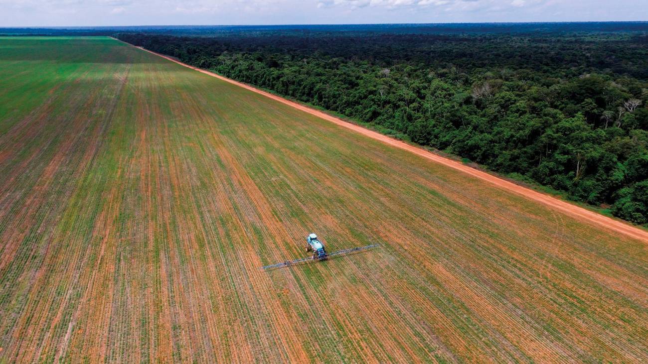 El impacto del uso de plaguicidas en la Amazonía, una actividad en aumento