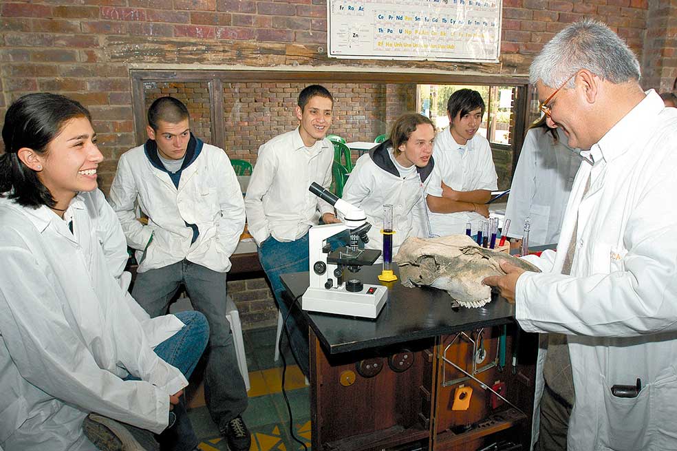 Dejémonos de vainas con la enseñanza
