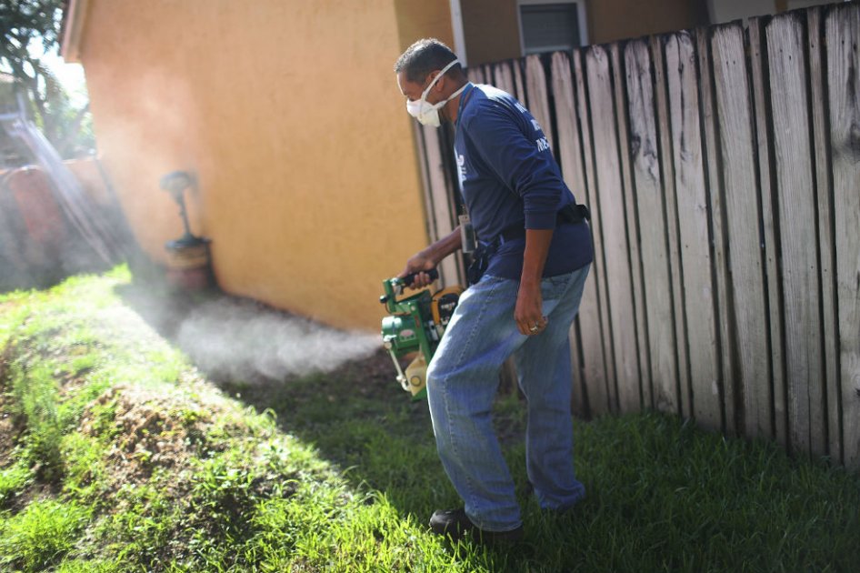 Programa de la OMS para luchar contra el zika solo recibe 13% de financiación