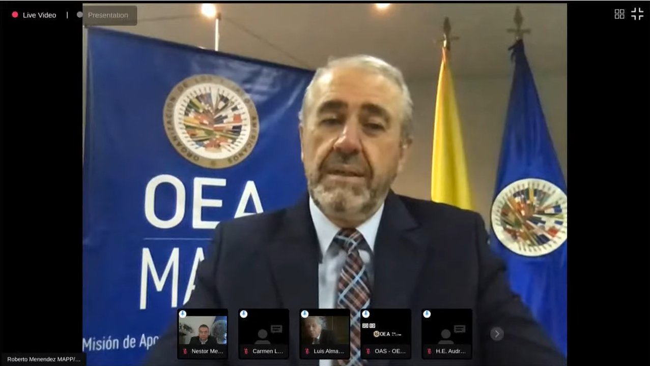Grupos armados impiden desminado humanitario: MAPP-OEA