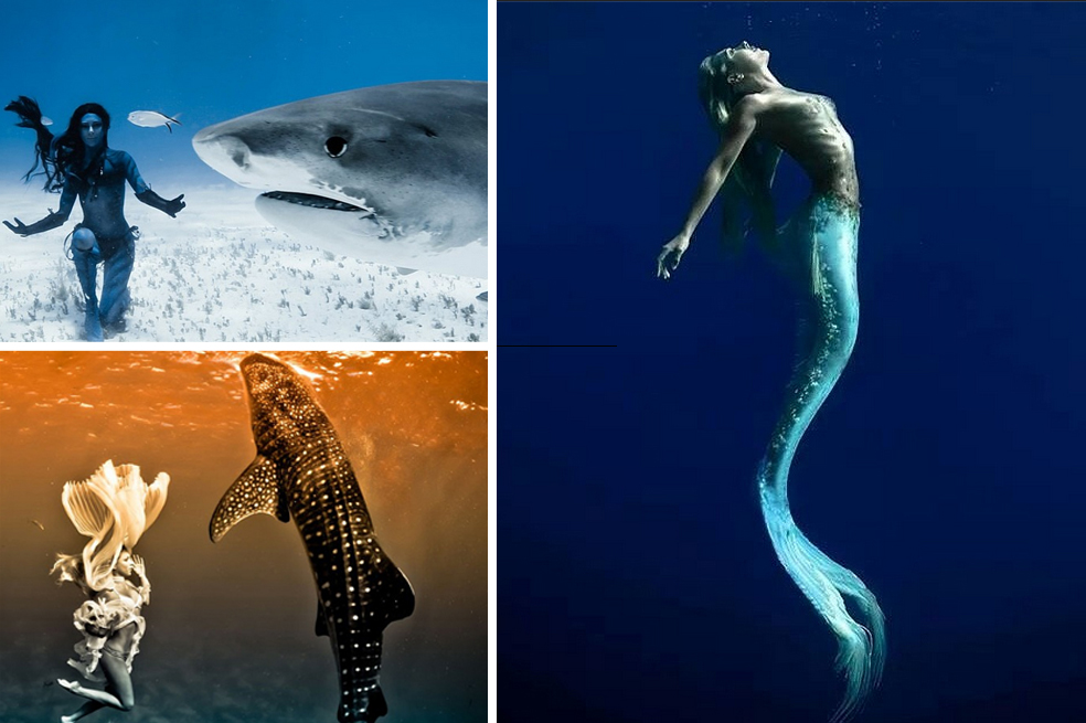 Enfrentarse a tiburones y ballenas, así es ser una ‘modelo-sirena’