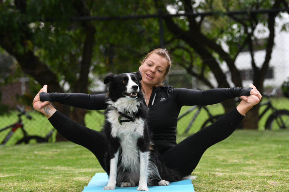 Llegó el Doga: yoga con perros