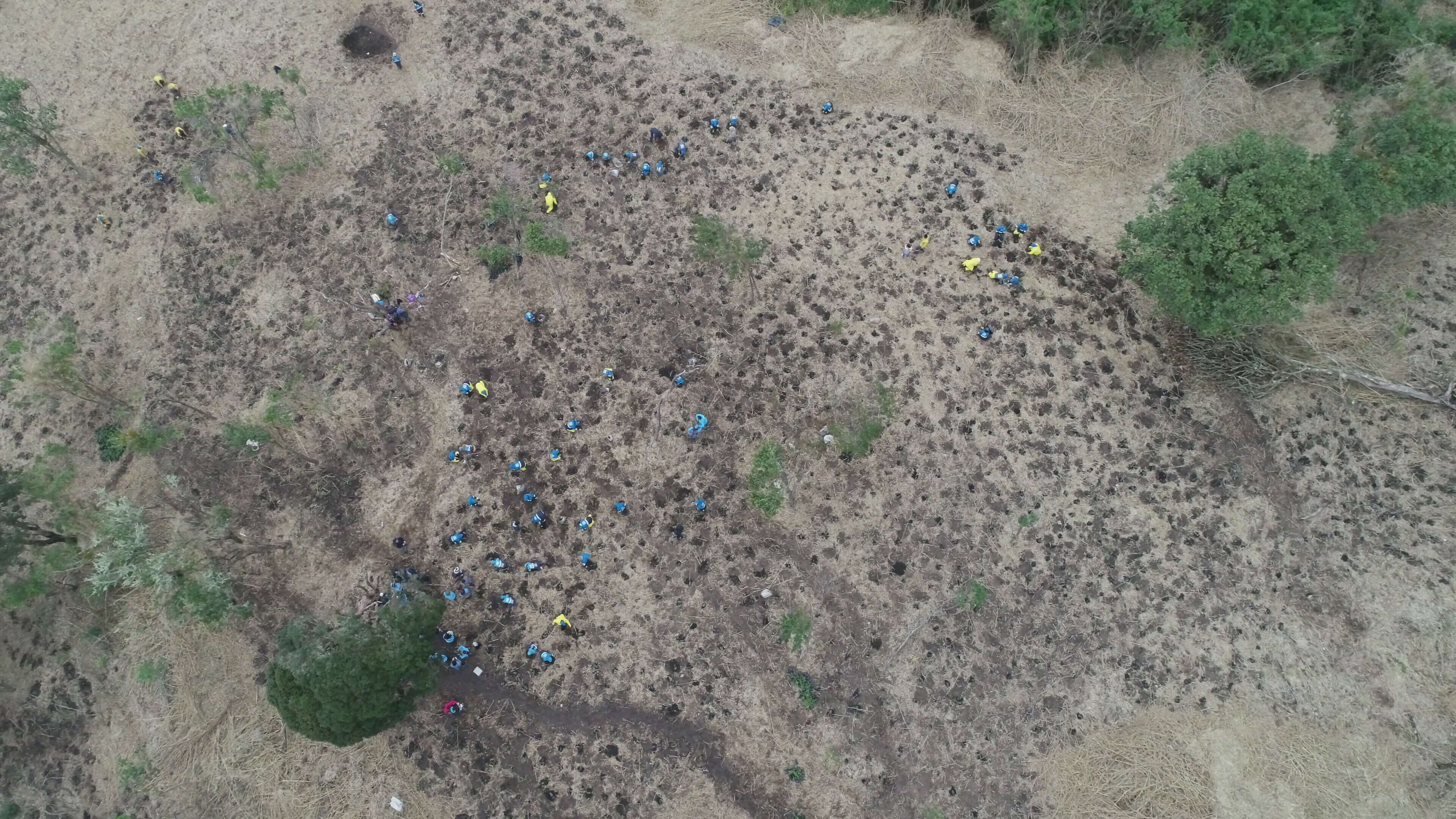En imágenes: Distrito adelanta plantación de árboles nativos en los Cerros orientales