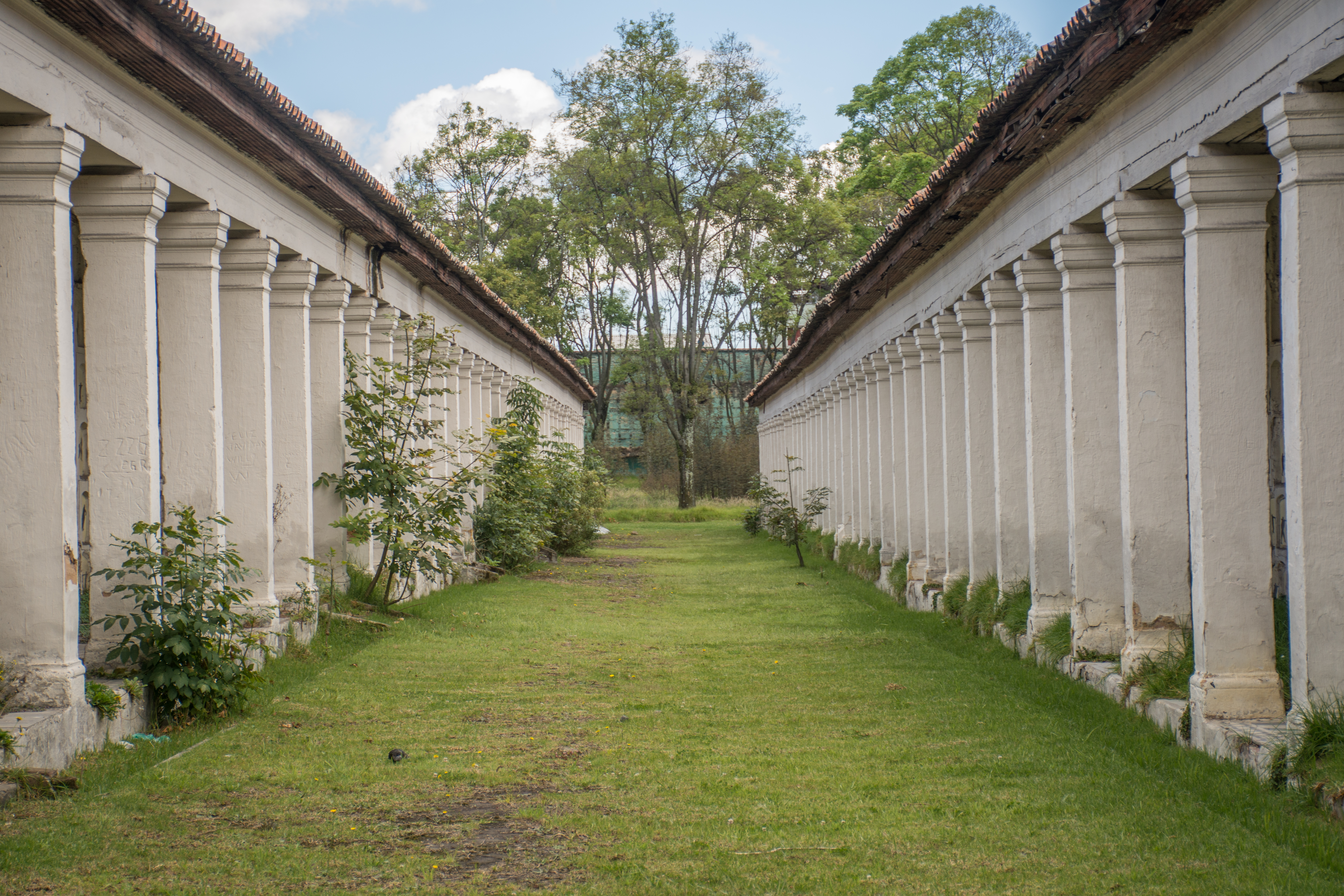 Denuncian irregularidades en adjudicación de millonario contrato de cementerios