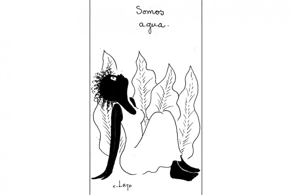 Somos agua