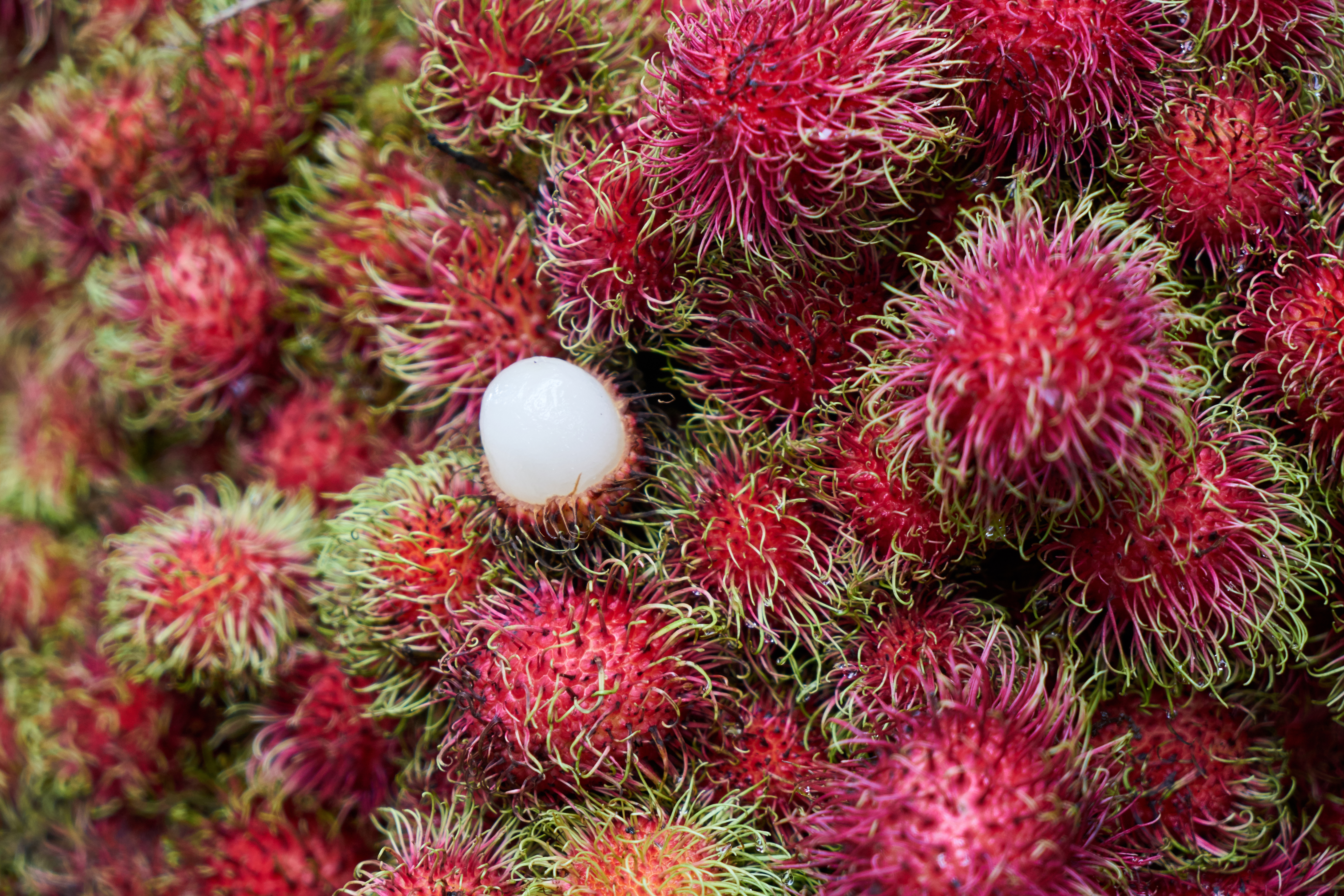 Rambután, la joya tropical de Asia: ¿para qué sirve realmente?