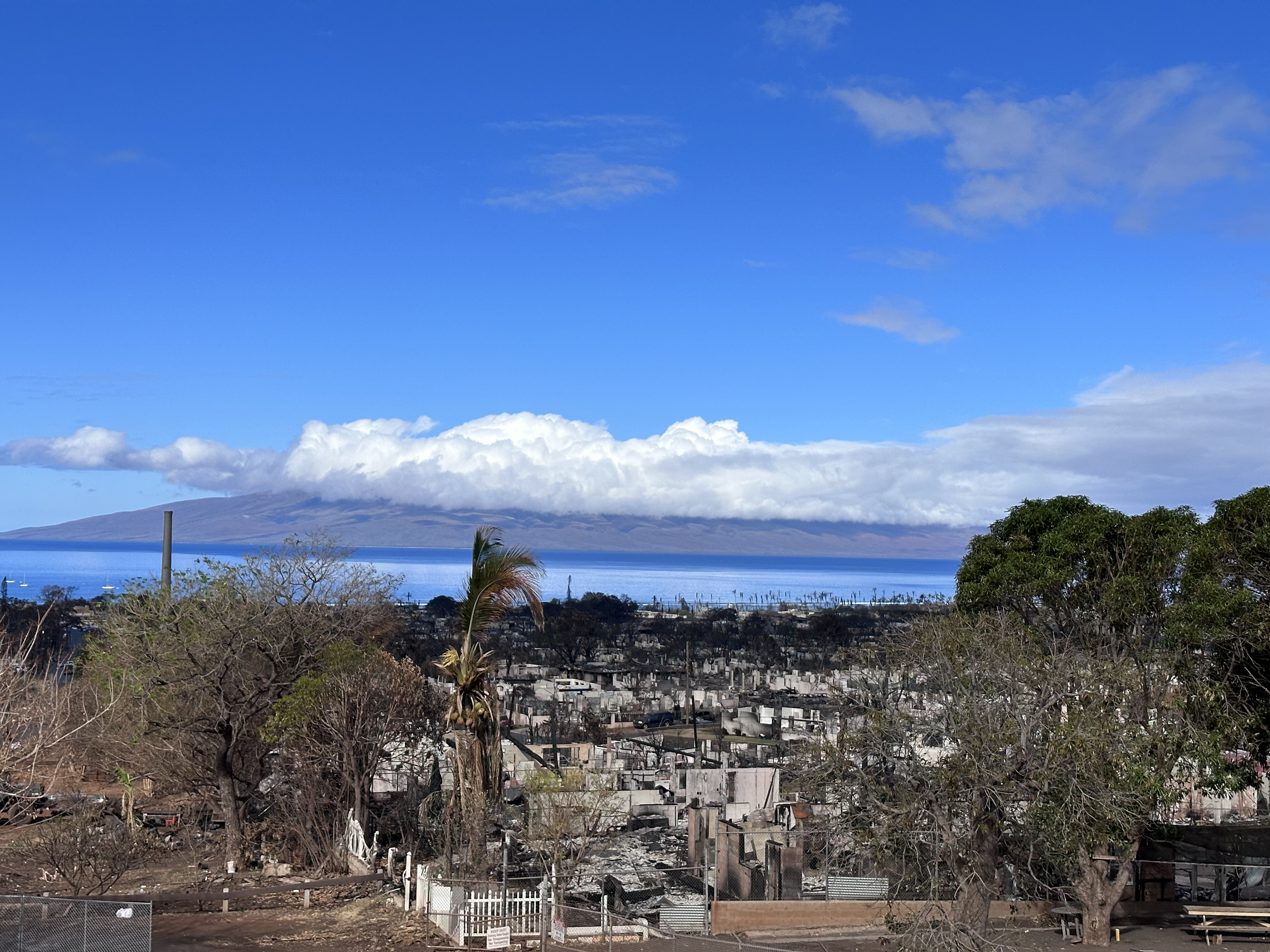 Hawái: reducen a 388 la lista de desaparecidos por los incendios en Maui