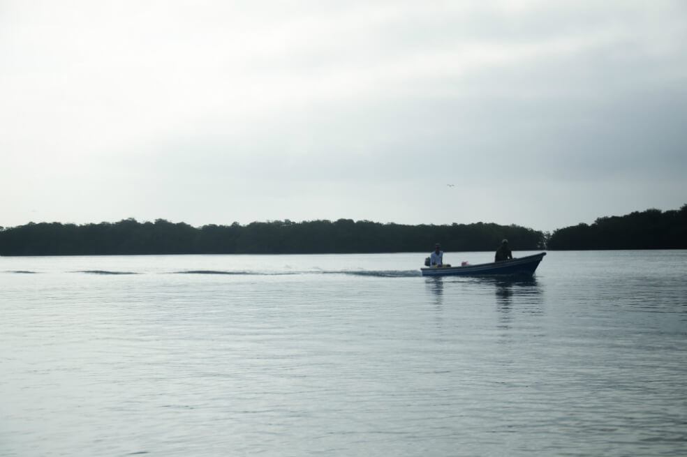 Pueblo negro de Barú busca titulación de un territorio que reclaman ancestral