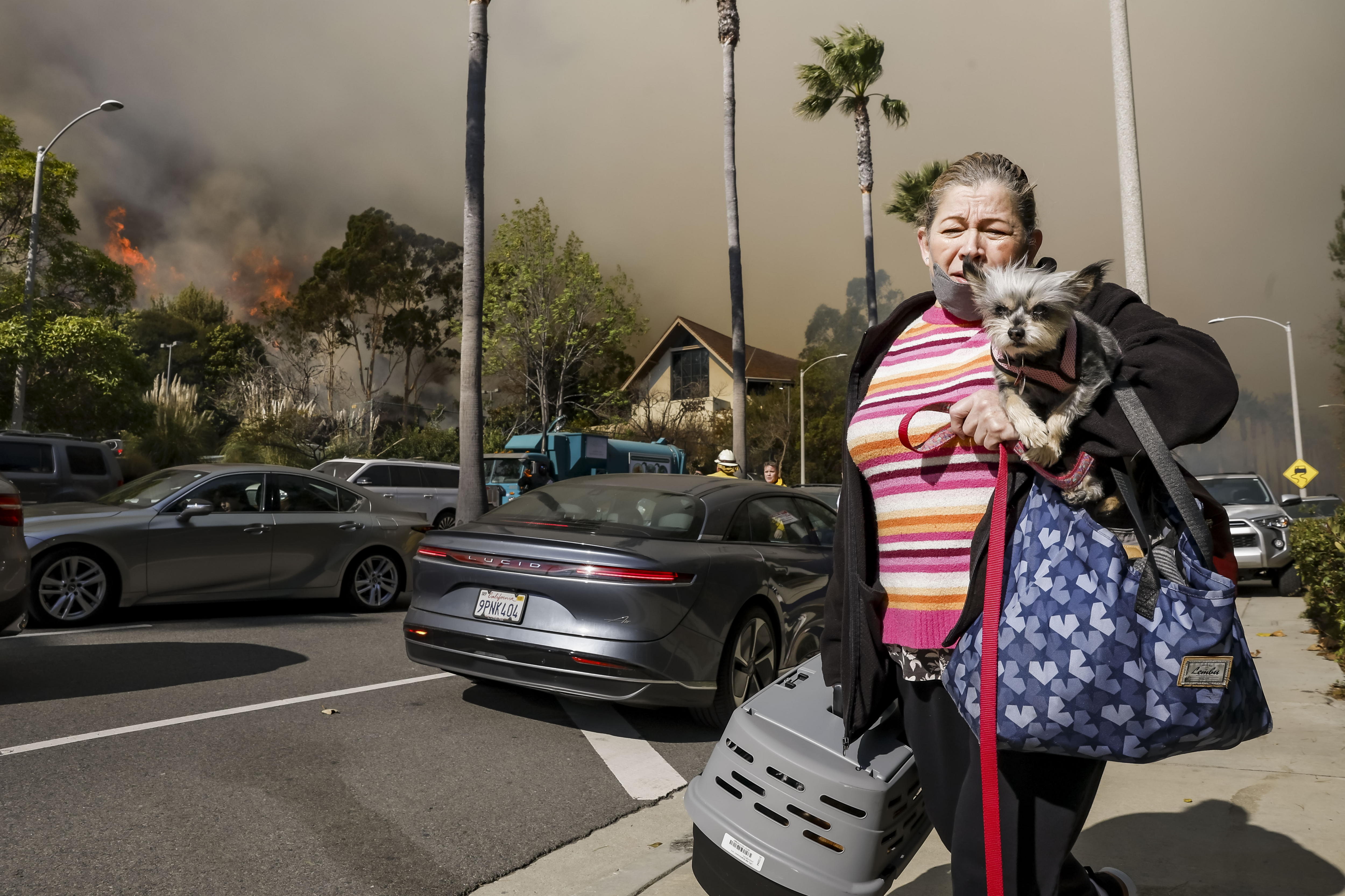 Una mujer huye con su perro de un barrio amenazado por el incendio en Palisades.