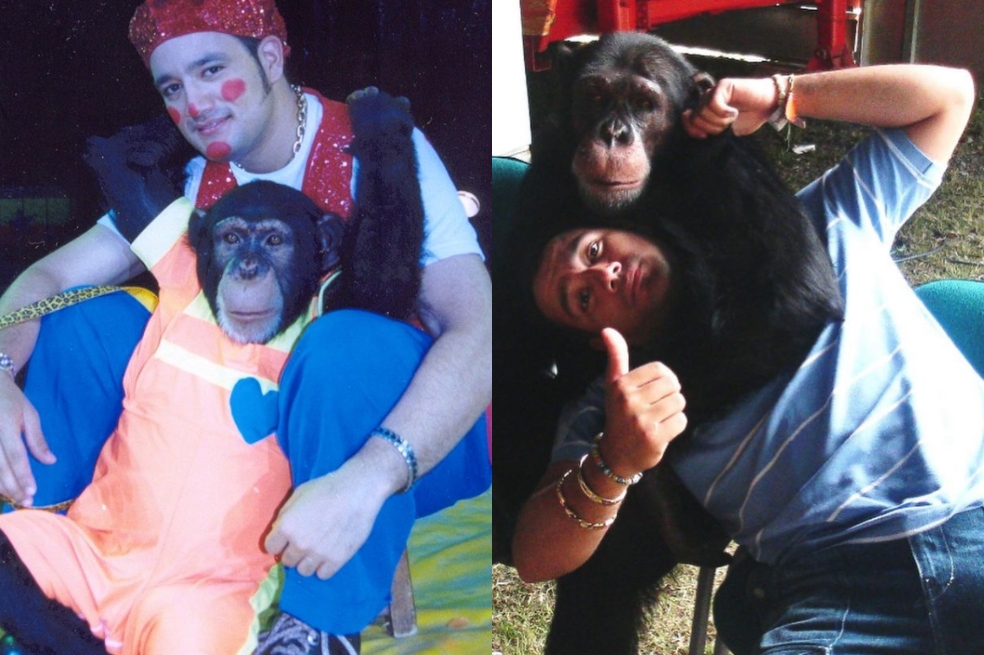 La conmovedora despedida de Raúl Gasca a su chimpancé Pancho, sacrificado en Pereira