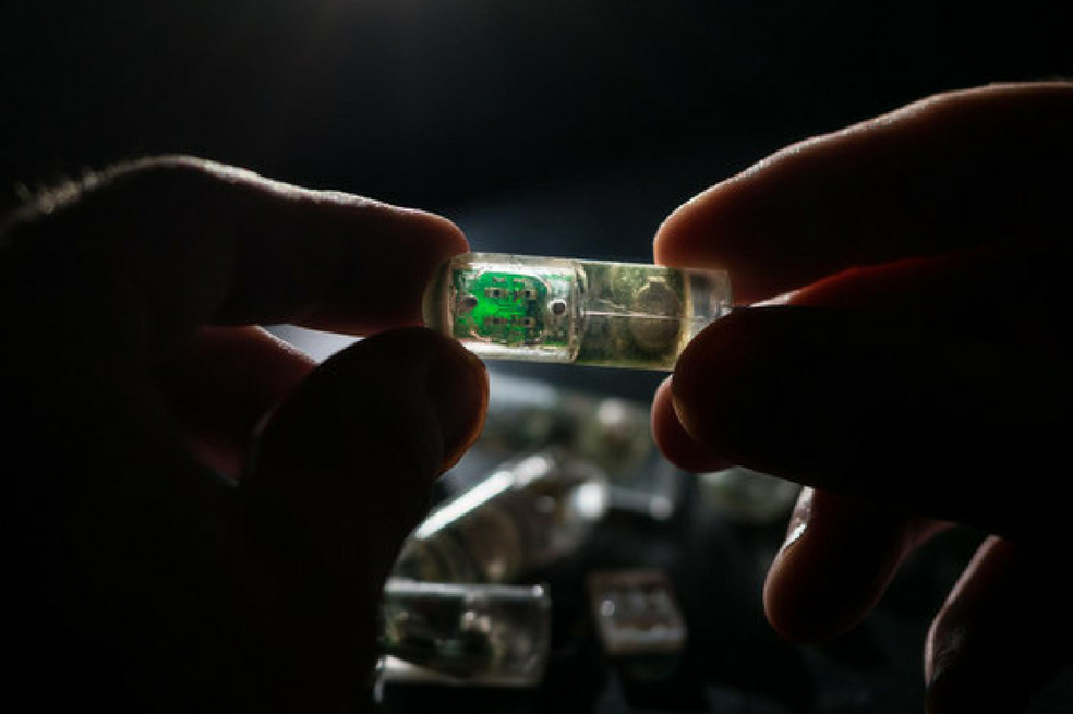 Desarrollan sensor que al ingerirse revela enfermedades en el estómago