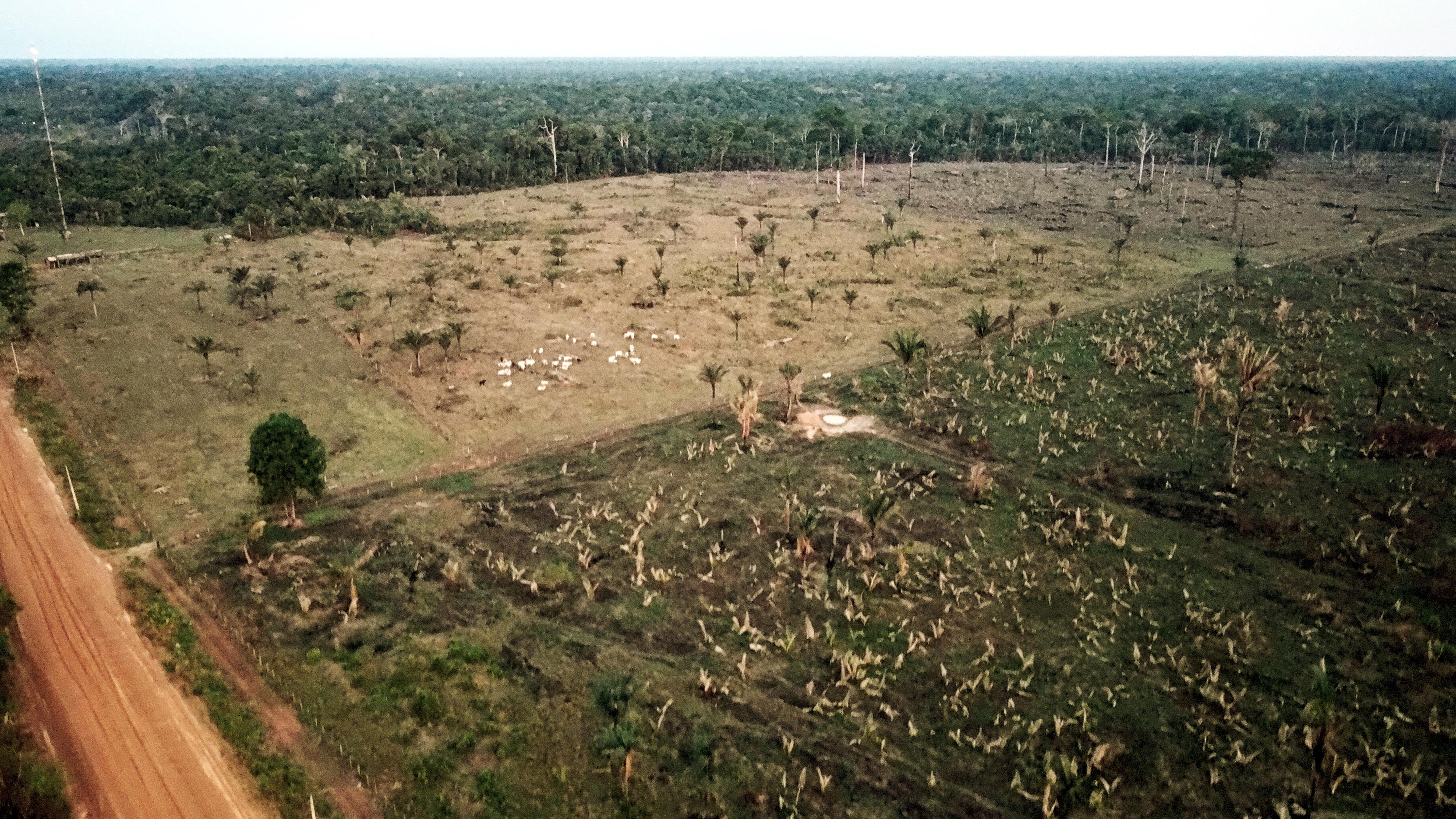 Indígenas Mura, en Brasil  y su lucha por proteger la Amazonia su territorio.