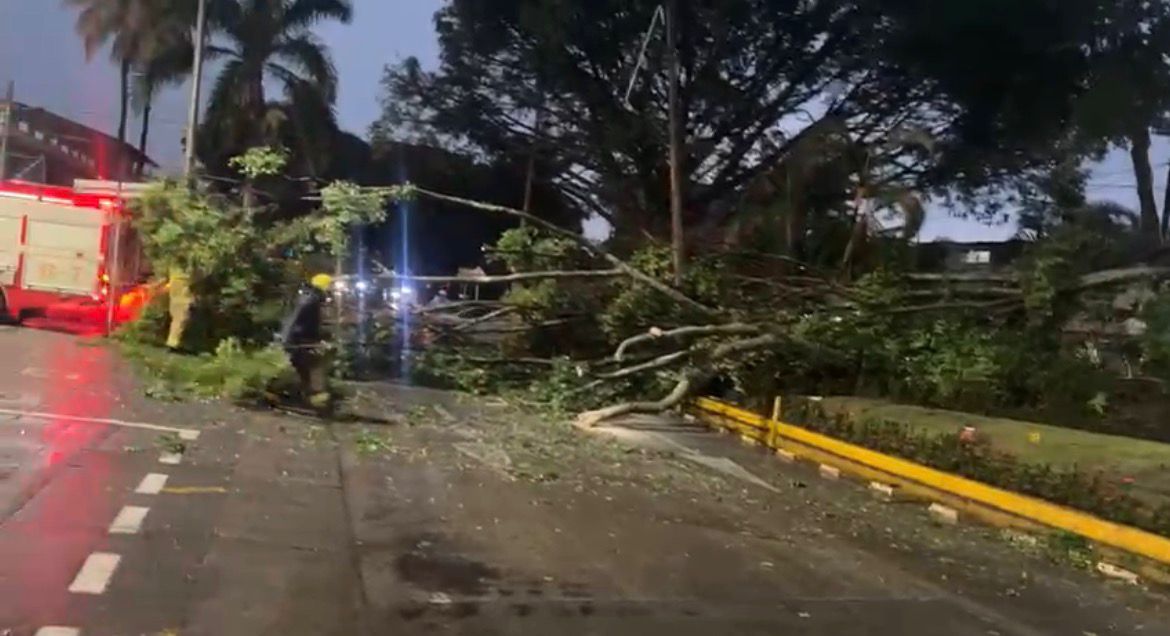 Lluvias en Cali: vendaval y granizada provocaron derrumbes, colapso de vías y redes de luz