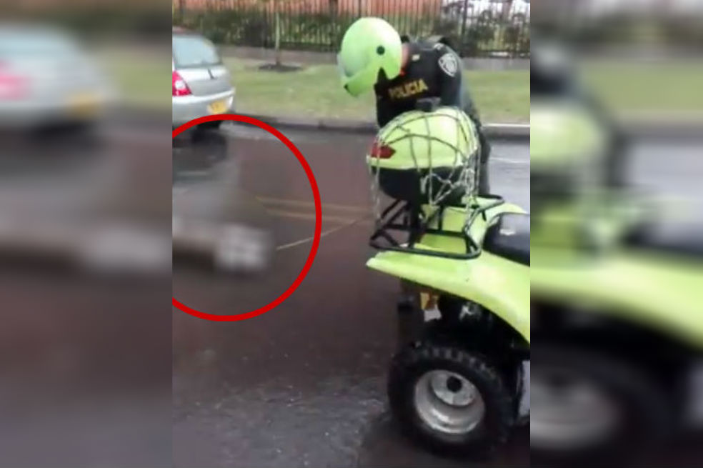 Con video denuncian aparente caso de maltrato animal en Madrid, Cundinamarca