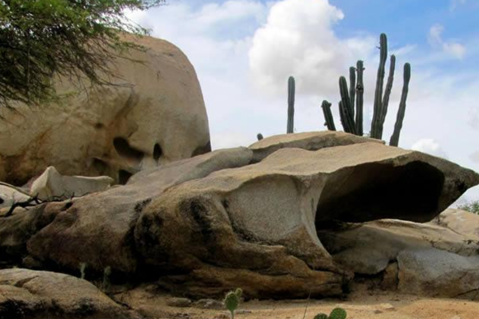 Parque Nacional Natural Macuira

Es una reserva de vida, cultura y tradición del pueblo Wayuú. Igualmente, es un oasis verde dentro del área semidesértica de la alta Guajira que incluye bosques de niebla, bosque seco tropical y bosques de galería. Este parte está catalogado como un área de importancia para la conservación de aves de Colombia y el mundo. Tiene una extensión de 24.103 hectáreas, que corresponden a un macizo montañoso que forma la serranía más septentrional de Suramérica.