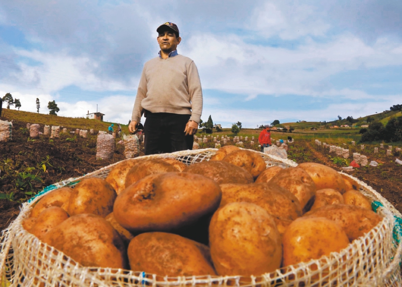 En Boyacá, los campesinos resisten la pandemia