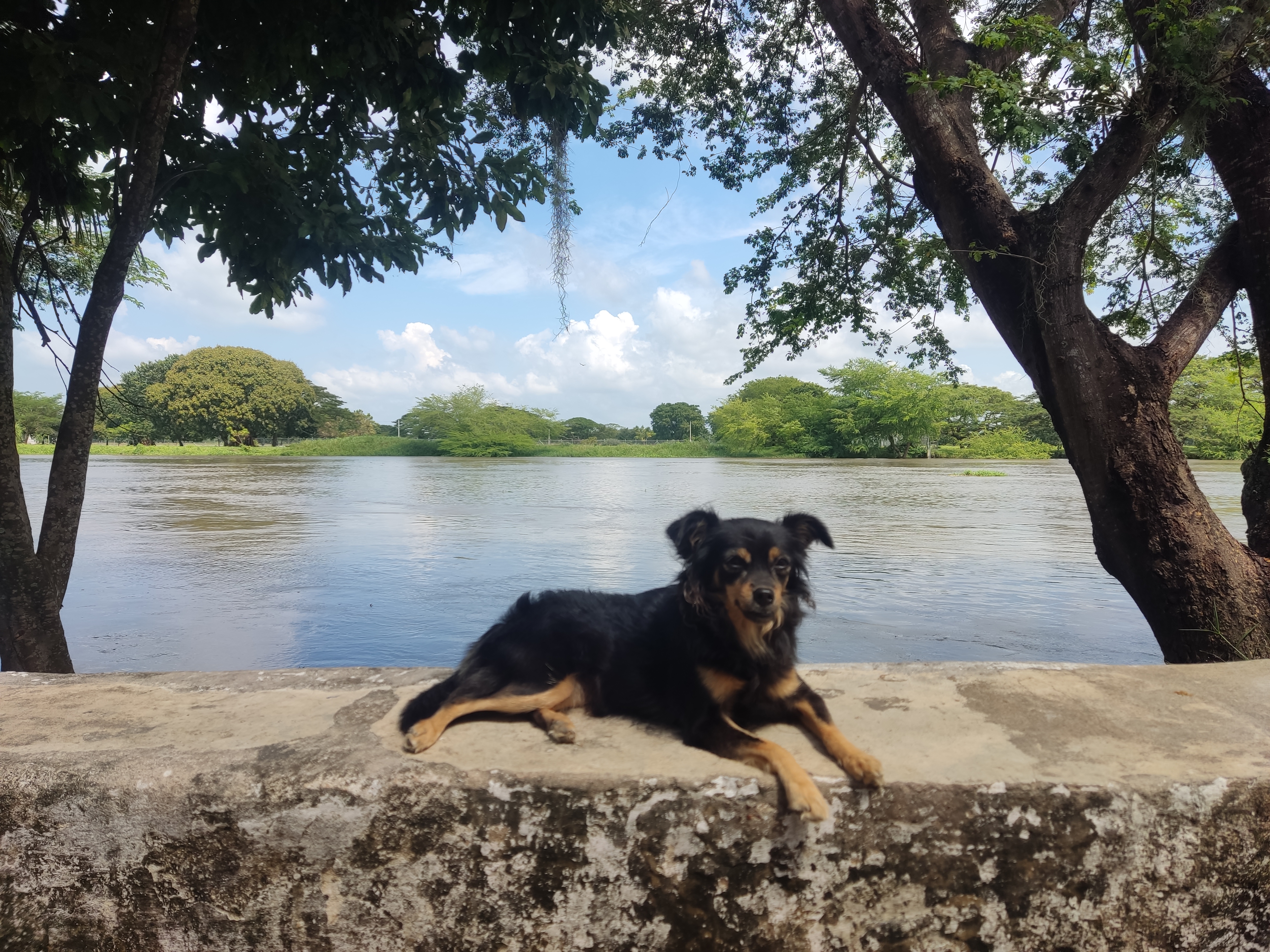 Testimonios de pescadores, cantaoras y guardianes del río, nos cuentan cómo se vive el río Magdalena.