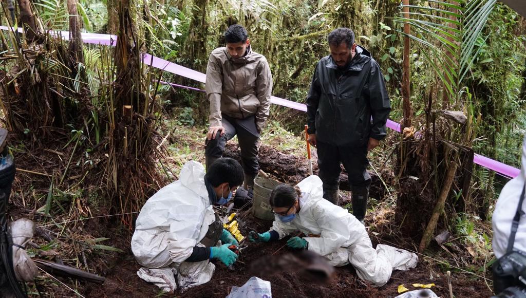 Hallan cuerpo que podría ser de Carmenza Castañeda, secuestrada por las Farc